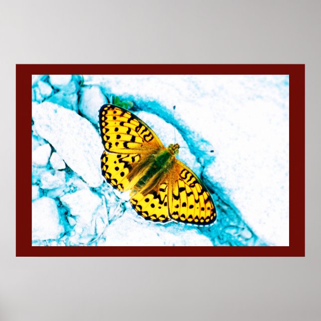 Póster papilón 2 (Frente)