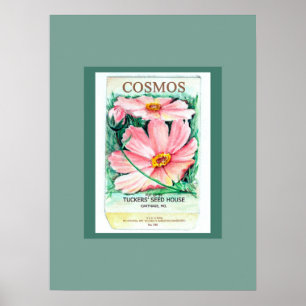Póster Paquete Cosmos Seed