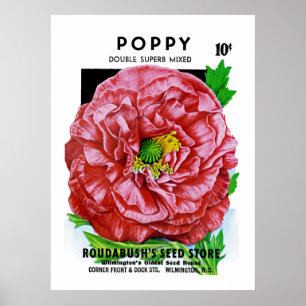 Póster Paquete de la semilla del vintage de la amapola