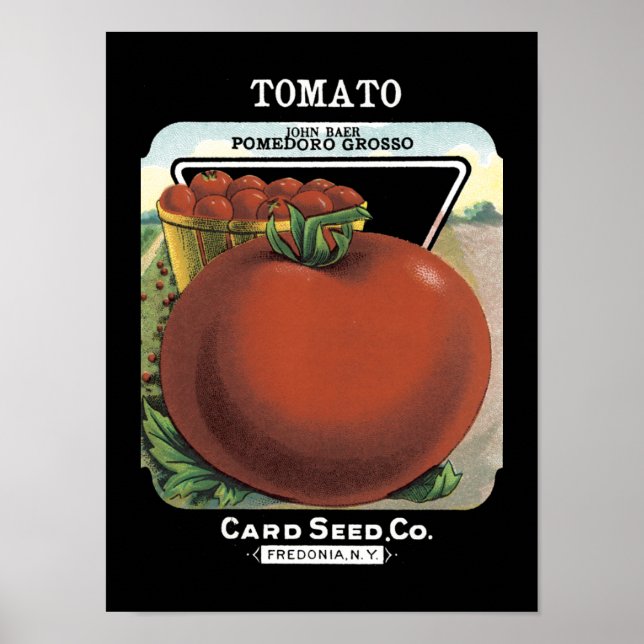 Póster Paquete de semillas de cosecha de tomate (Frente)