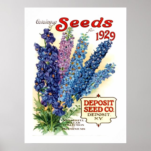 Póster Paquete de Semillas de Delphiniums Variados (Frente)