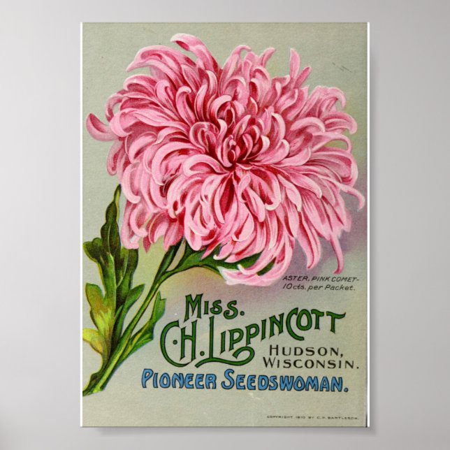 Póster Paquete de semillas de flores de época , Circa 191 (Frente)