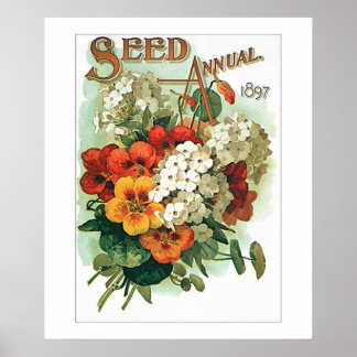 Póster Paquete de Semillas de Flores Variadas