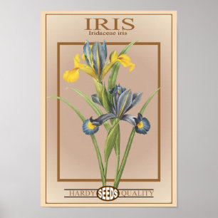 Póster paquete de semillas de iris