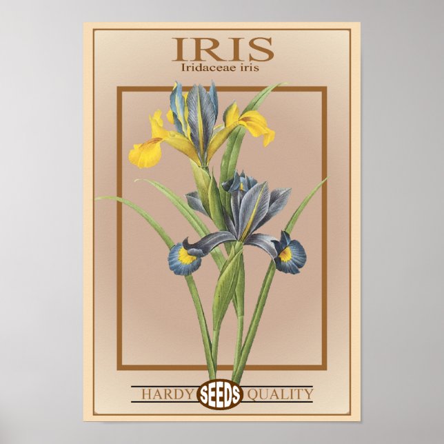 Póster paquete de semillas de iris (Frente)