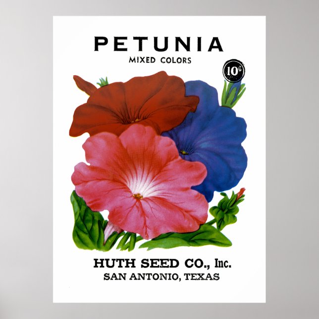 Póster Paquete de Semillas de Petunia Vintage (Frente)