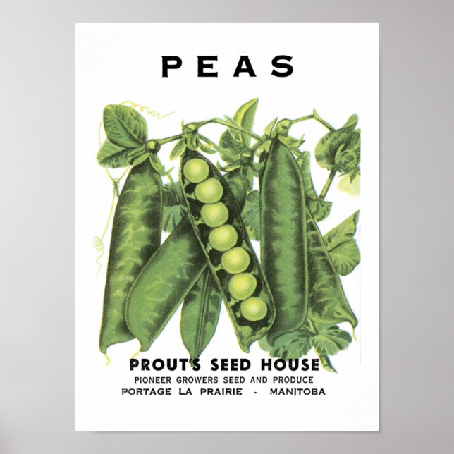 Póster Paquete de Semillas Vintage (Frente)