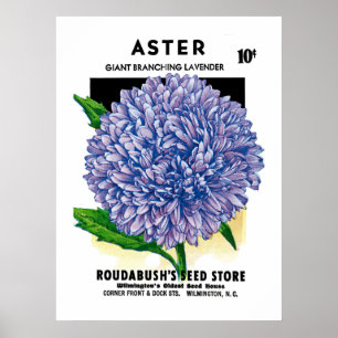 Póster Paquete de Semillas Vintage Aster