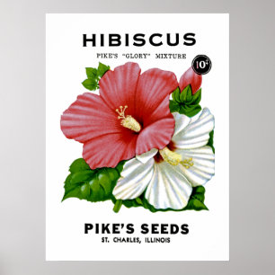 Póster Paquete de Semillas Vintage de Hibiscus
