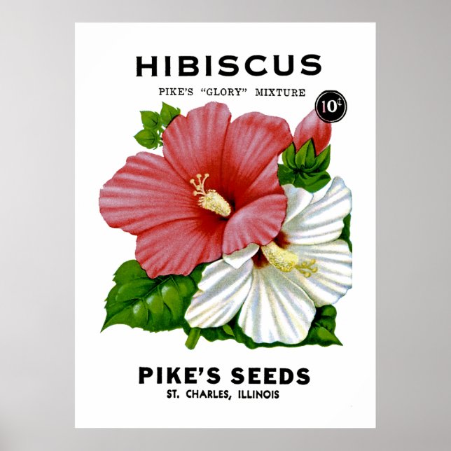 Póster Paquete de Semillas Vintage de Hibiscus (Frente)