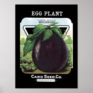 Póster Paquete de Semillas Vintage Eggplant