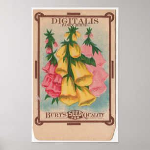 Póster Paquetes de la semilla del vintage