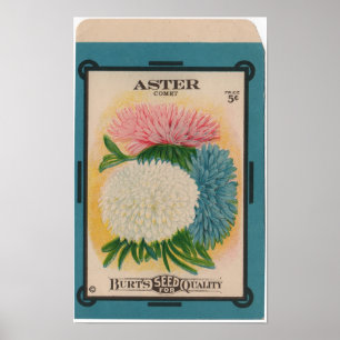 Póster Paquetes de la semilla del vintage