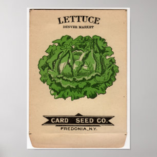 Póster Paquetes de la semilla del vintage
