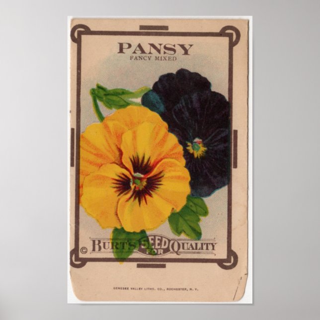 Póster Paquetes de Semillas Vintage (Frente)