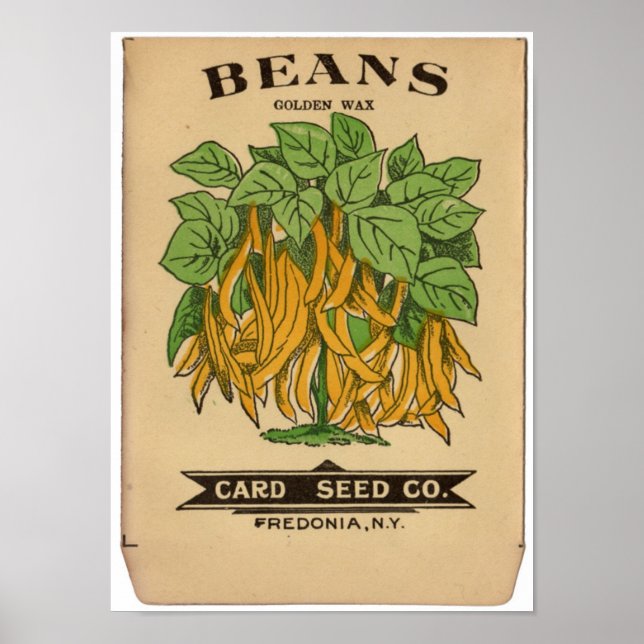 Póster Paquetes de Semillas Vintage (Frente)