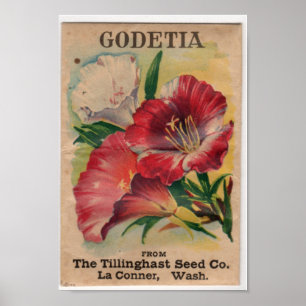 Póster Paquetes de Semillas Vintage