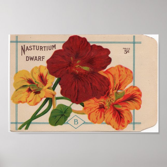 Póster Paquetes de Semillas Vintage (Frente)
