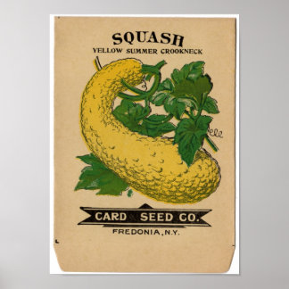 Póster Paquetes de Semillas Vintage