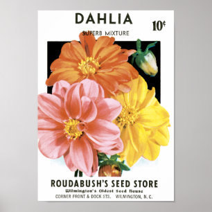 Póster Paquetes de Semillas Vintage, Flores Dahlia Garden