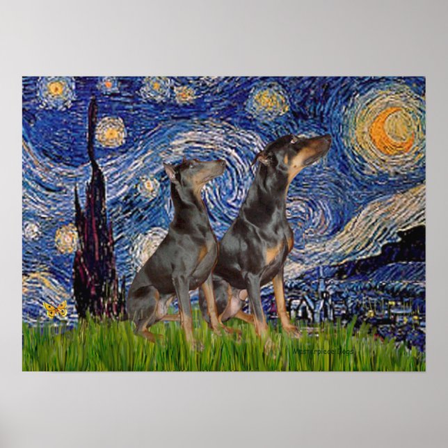 Póster Par de Doberman - Noche estrellada (Frente)
