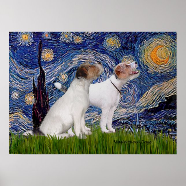 Póster Par de Jack Russell 4 - Noche estrellada (Frente)