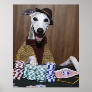 Póster Para arriba vestido perro de Whippet en la tabla