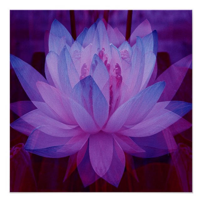 Póster Para seguir tus sueños... (Anverso)