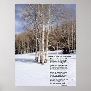 Póster Parada en Woods en una velada nevada