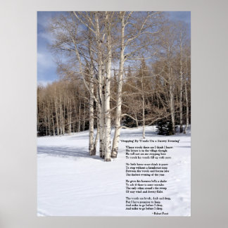 Póster Parada en Woods en una velada nevada