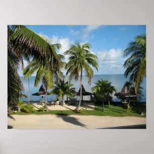 Póster Paradise Poster