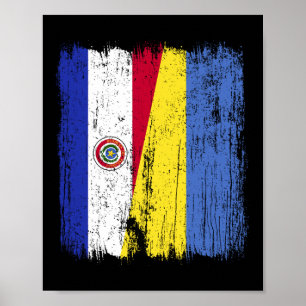 Póster Paraguay Ucrania Media Bandera Paraguaya Herencia 