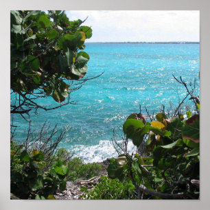 Póster Paraíso
