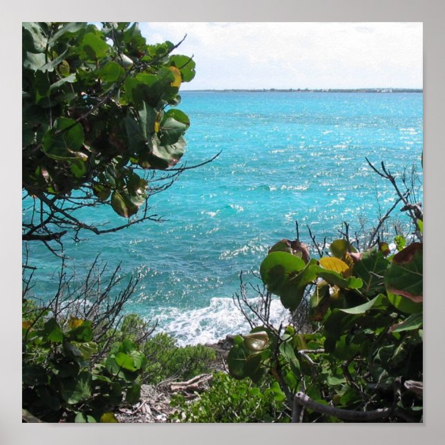 Póster Paraíso (Frente)