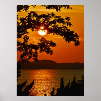 Póster Paraíso