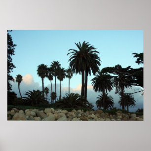 Póster paraíso