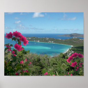 Póster Paraíso Caribeño Foto de Playa Tropical
