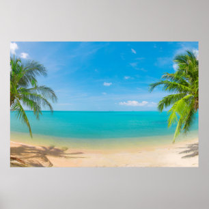 Póster Paraíso de PixDezines / Vista panorámica de isla t