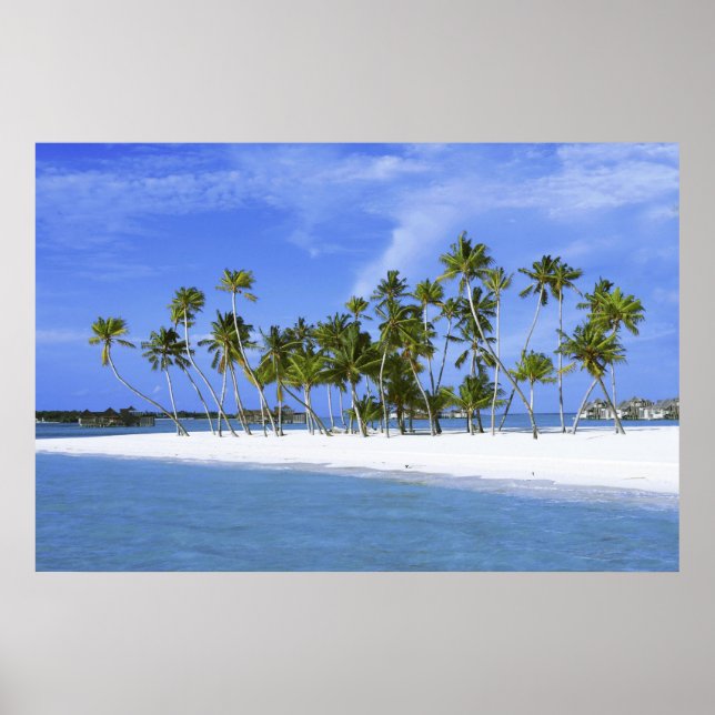 Póster paraíso de playa con poster hammock_Maldives (Frente)