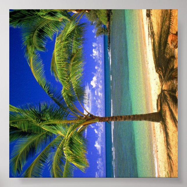 Póster Paraíso de Playa Tropical (Frente)