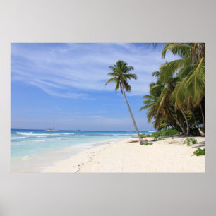 Póster Paraíso de verano