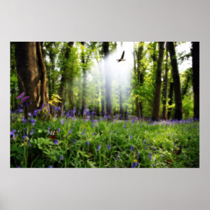 Póster paraíso encontrado poster