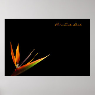 Póster Paraíso Perdido