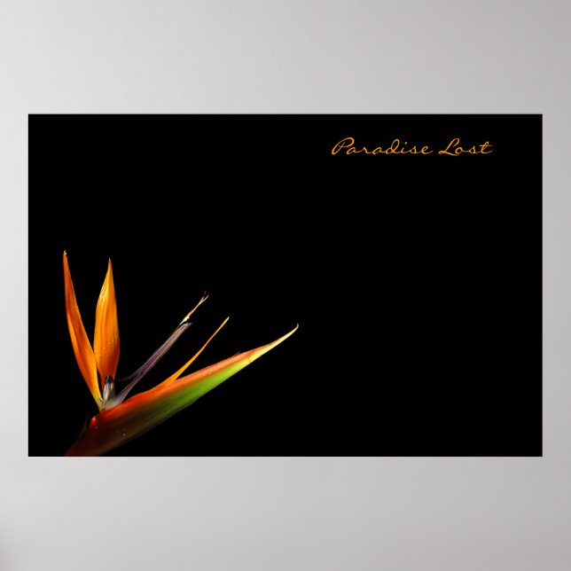 Póster Paraíso Perdido (Frente)