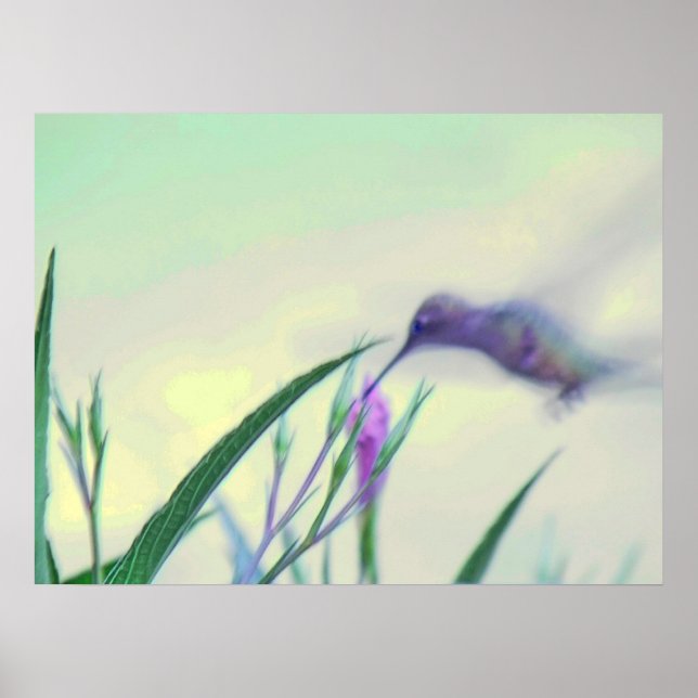 Póster Paraíso Púrpura (Frente)