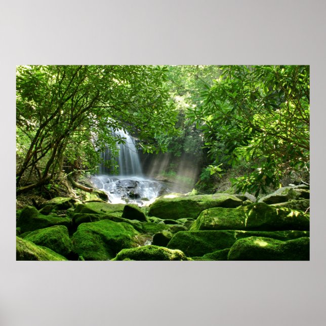 Póster Paraíso Secreto (Charlie Falls, Carolina del Norte (Frente)
