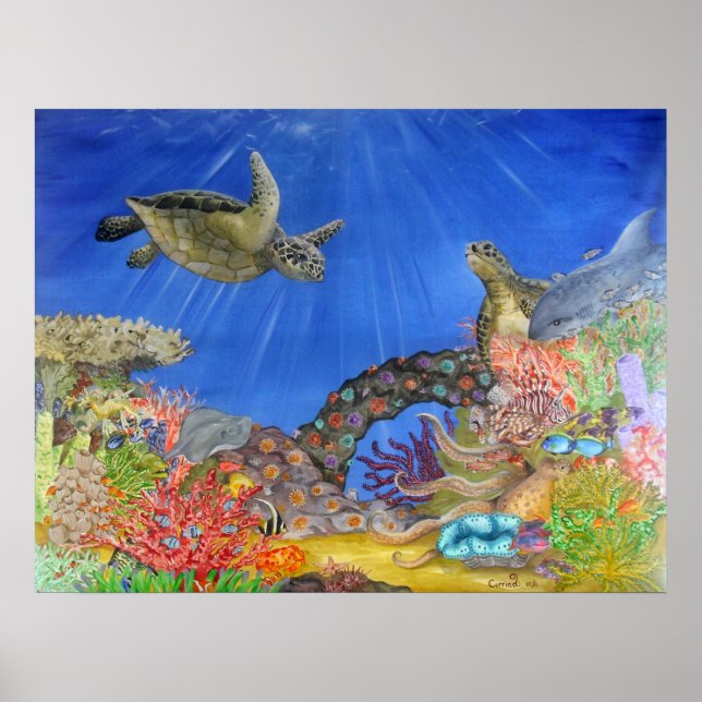Póster Paraíso subacuático (Frente)