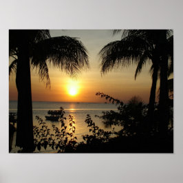 Póster Paraíso tropical