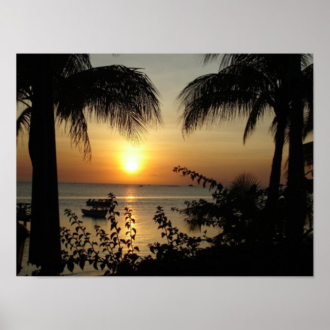 Póster Paraíso tropical (Frente)