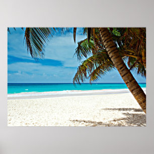 Póster Paraíso tropical